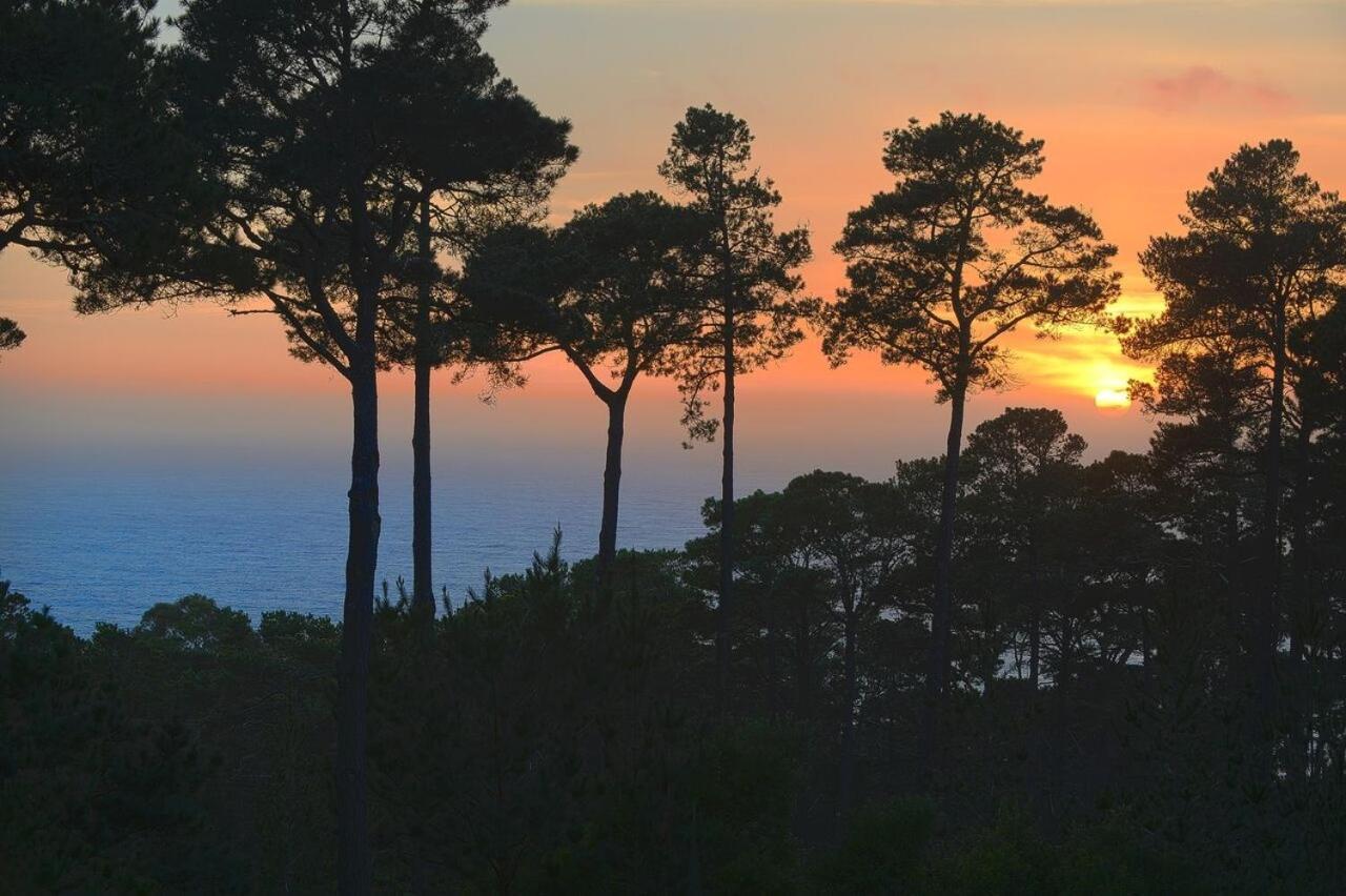 3707 Pacific'S Edge Sanctuary Home Carmel-by-the-Sea المظهر الخارجي الصورة