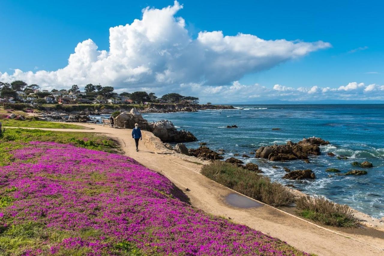 3707 Pacific'S Edge Sanctuary Home Carmel-by-the-Sea المظهر الخارجي الصورة