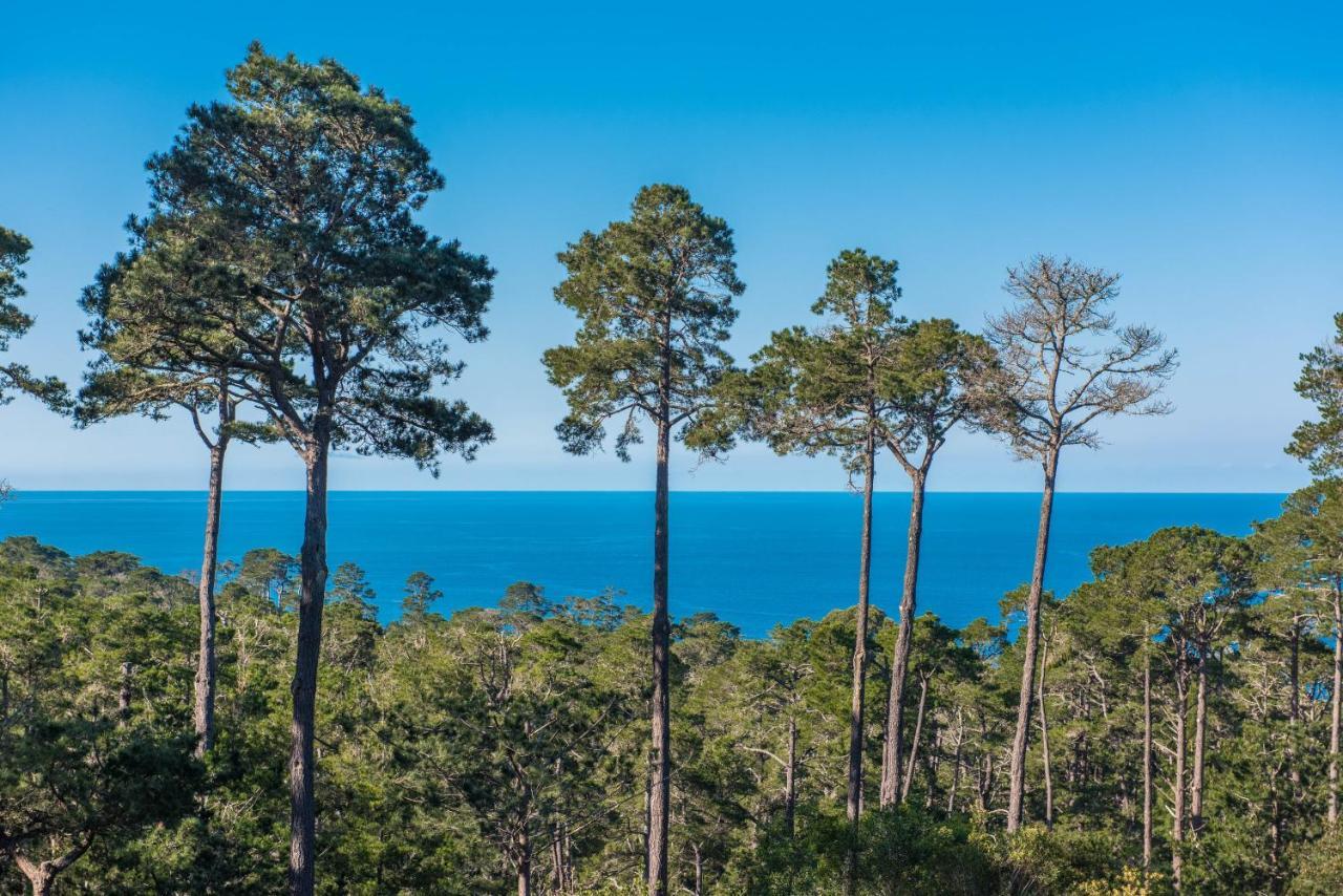 3707 Pacific'S Edge Sanctuary Home Carmel-by-the-Sea المظهر الخارجي الصورة